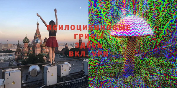 apvp Балабаново