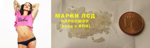 стафф Баксан