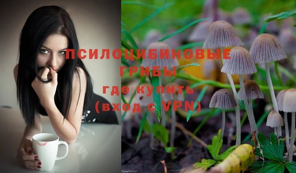 дживик Балахна
