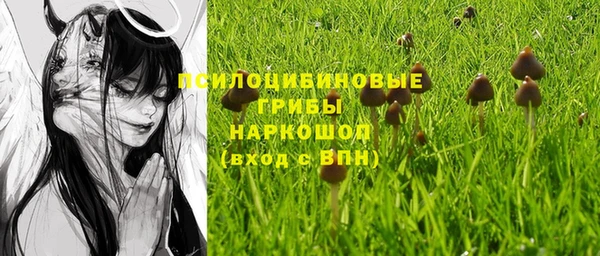 стафф Баксан